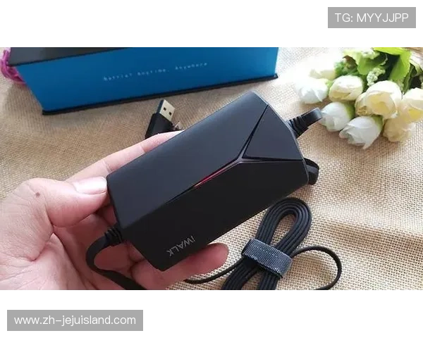 如何在手机上轻松安装百家乐单机版游戏实现随时随地的娱乐体验